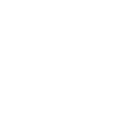 ce logo Lake Stevens